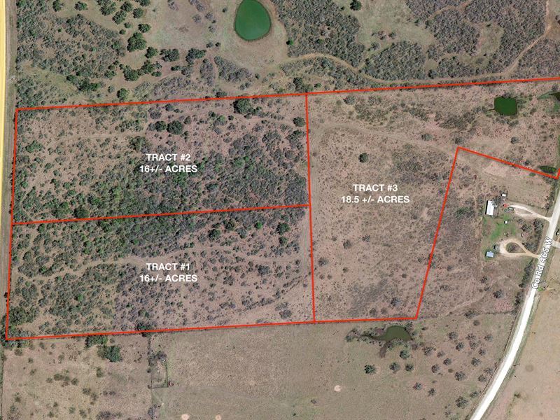 Amazing 50.5 AC in Gonzales County : Gonzales : Gonzales County : Texas