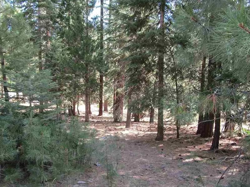 Buildable Lot, Trees, Power & Water : Susanville : Lassen County : California