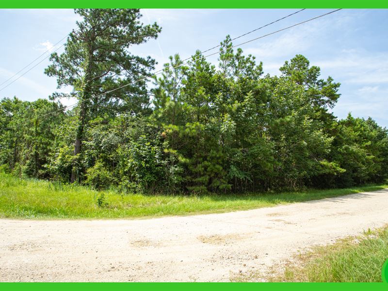 Multiple Parcels in Trinity County : Trinity : Trinity County : Texas