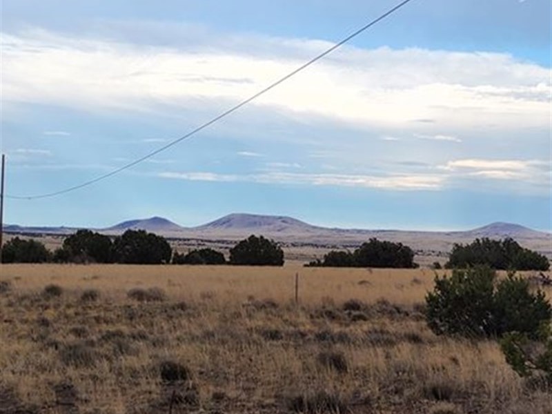 Corner Lot with Power, Near Highway : Vernon : Apache County : Arizona