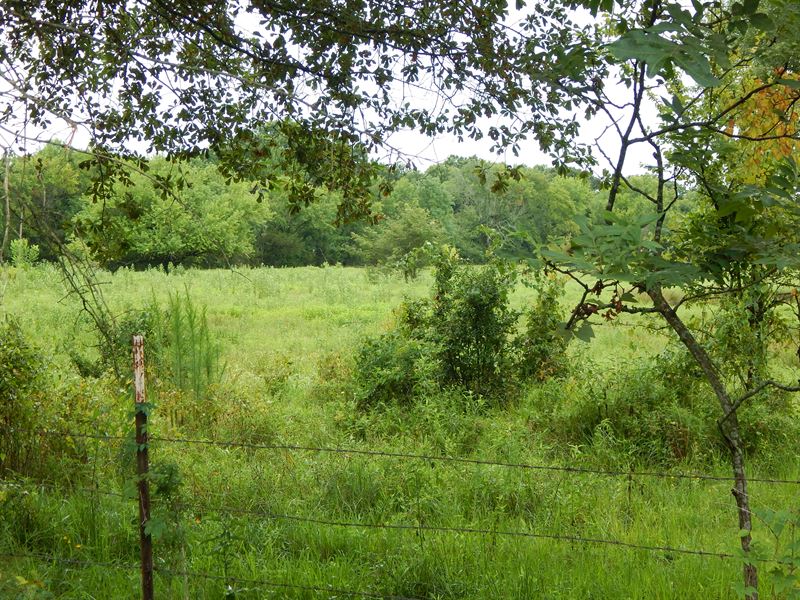 5 Acre Lot for Sale in Bogata, TX : Bogata : Lamar County : Texas