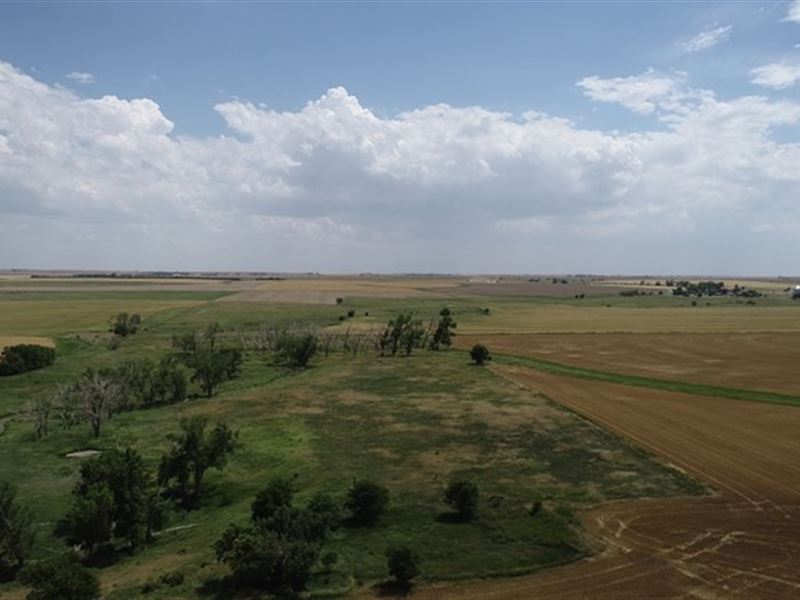 Rush County, Grass & Cultivation : Hays : Rush County : Kansas