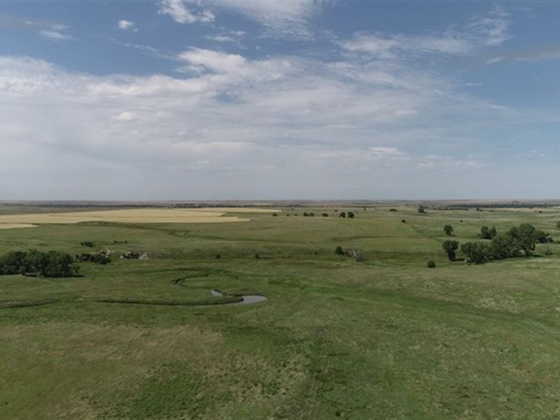 Spring Fed Grassland & Crp : Hays : Rush County : Kansas