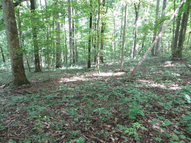 Level Building Spots, Private : Pikeville : Bledsoe County : Tennessee
