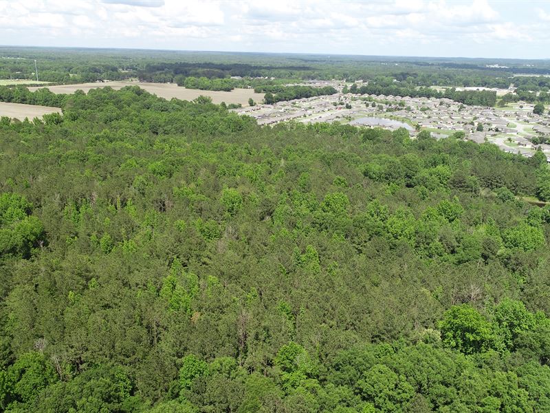 Cotton Lakes Development Tract : Wetumpka : Elmore County : Alabama
