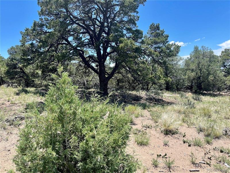 Breathtaking Views : Crestone : Saguache County : Colorado