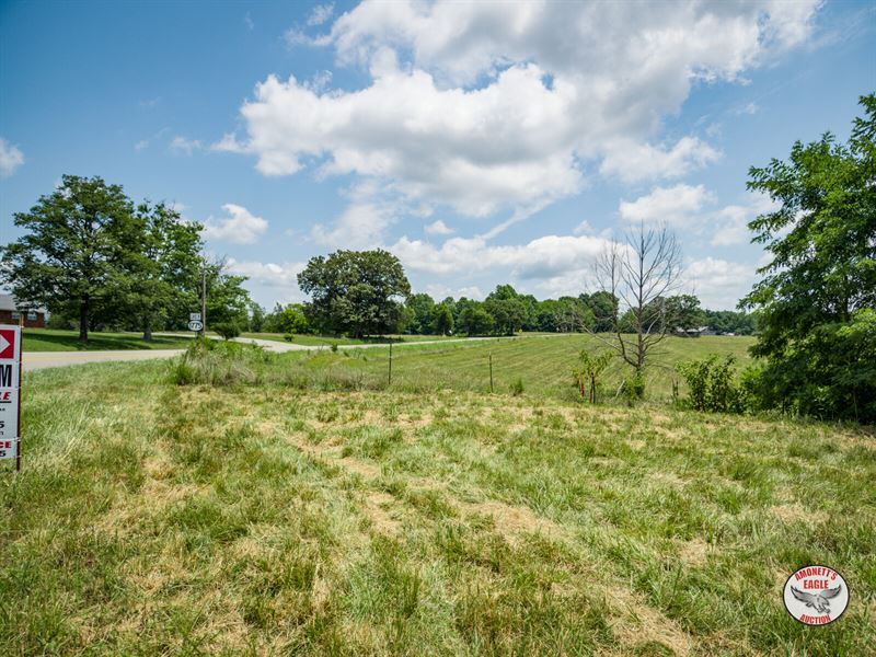 41+/- Acre Farm : Albany : Clinton County : Kentucky