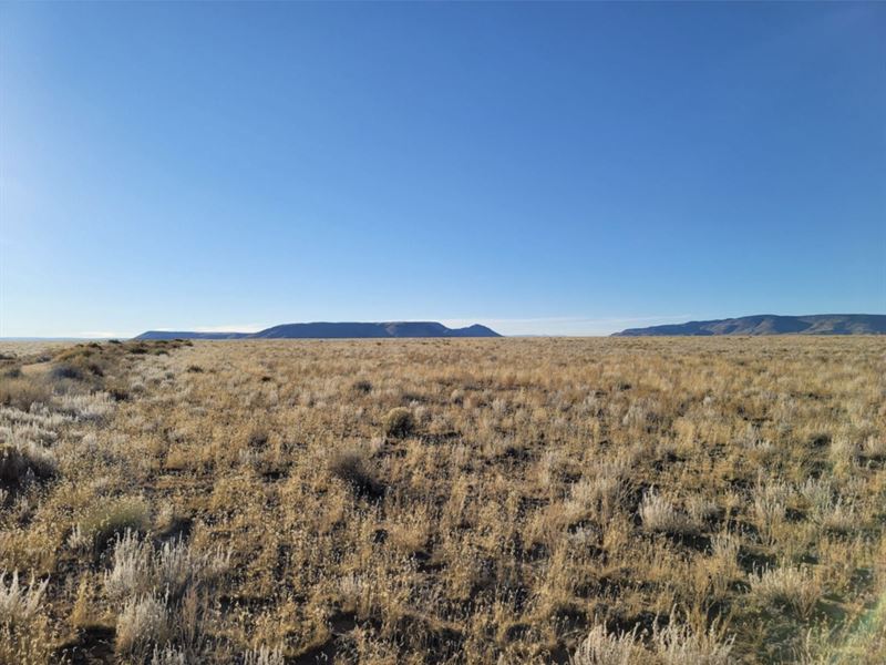 5 Acres Near The Rio Grande River : Colorado : Costilla County : Colorado