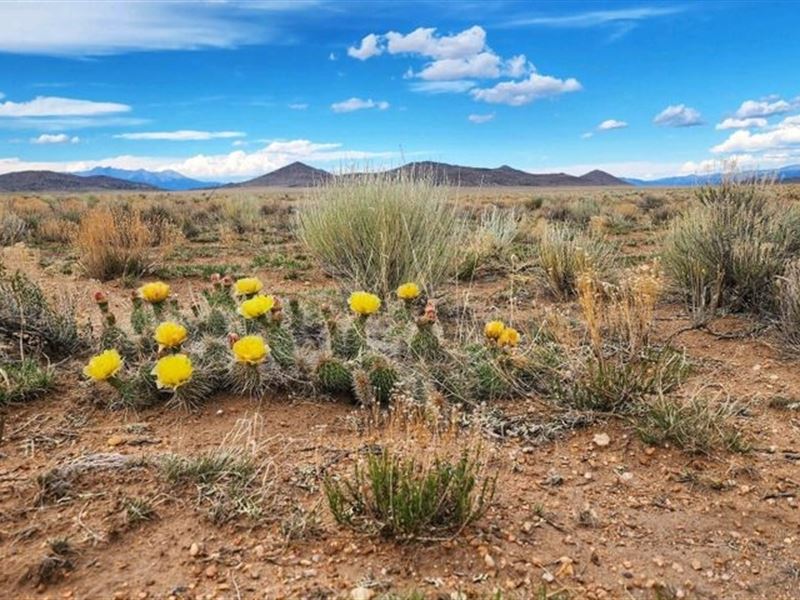 Acreage Plus Views : San Acacio : Costilla County : Colorado