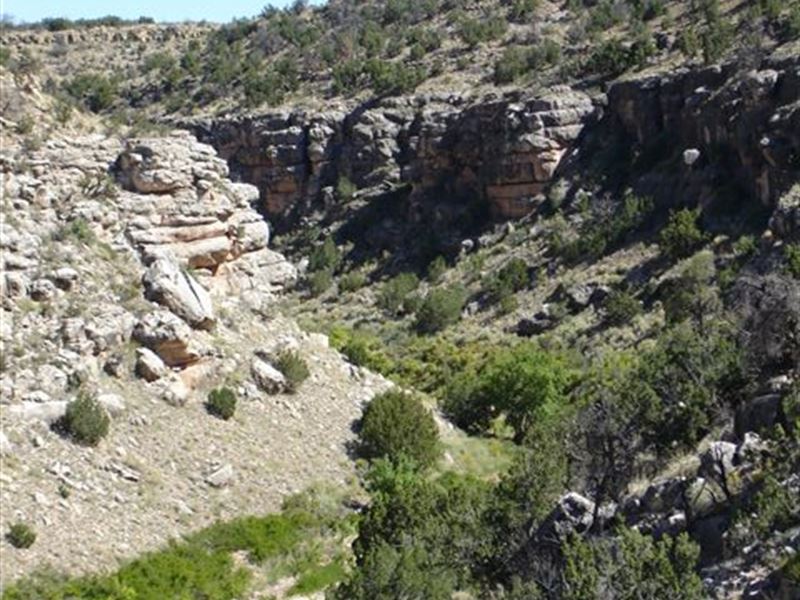 Black Creek Ranch : Heber-Overgaard : Navajo County : Arizona