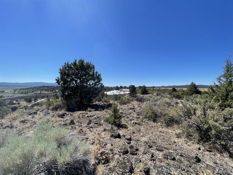Mountains as Far as The Eye Can See : Chiloquin : Klamath County : Oregon