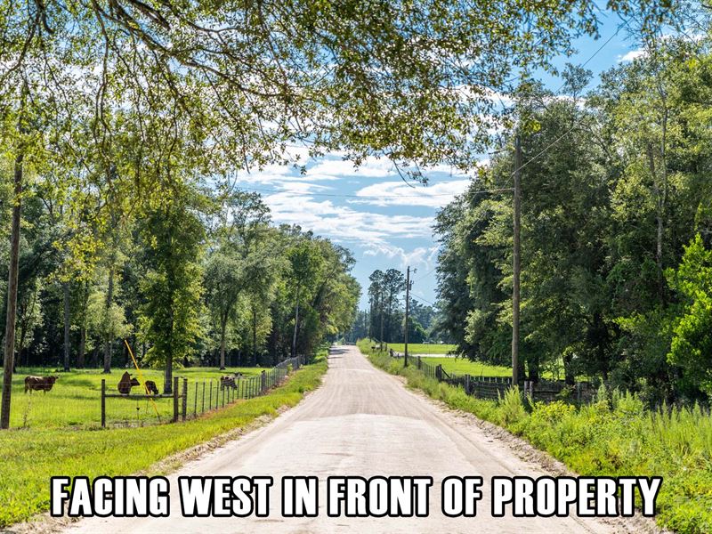 Owner Finance, Great Country Area : Lee : Madison County : Florida