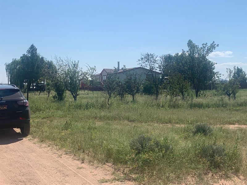 Super Nice-Ez Access-Power, $500/Mo : Willcox Area : Cochise County : Arizona