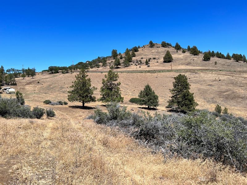 Escape The City & Enjoy The Wild : Hornbrook : Siskiyou County : California
