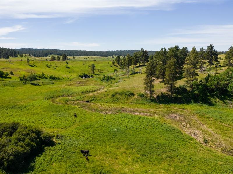 Little Houston Creek Ranch : Sundance : Crook County : Wyoming