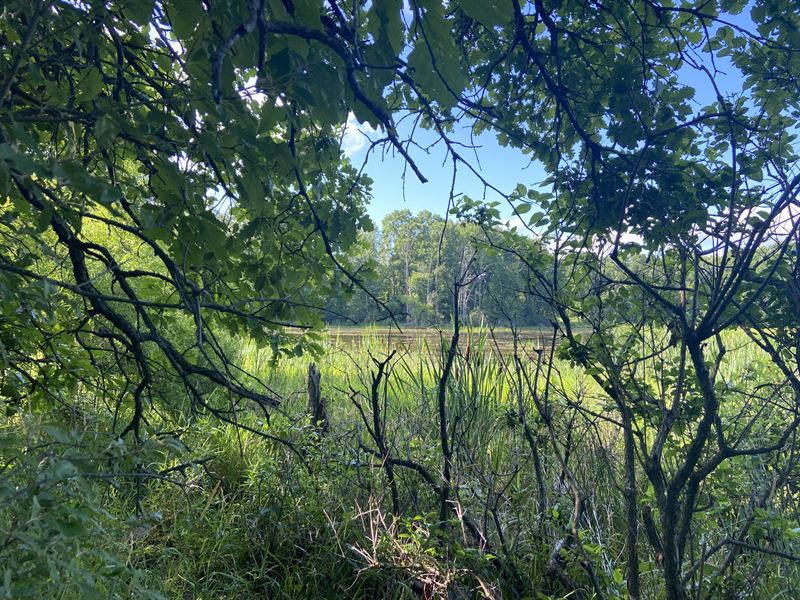 Rochester Road 13 : Dryden : Lapeer County : Michigan
