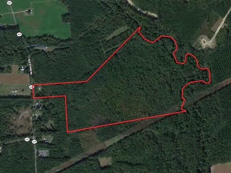 107 Acres of Hunting, Recreational : Dinwiddie : Dinwiddie County : Virginia