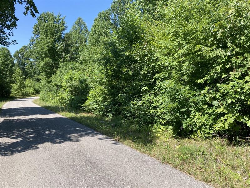 1 Acres for Sale : Campbellsville : Taylor County : Kentucky
