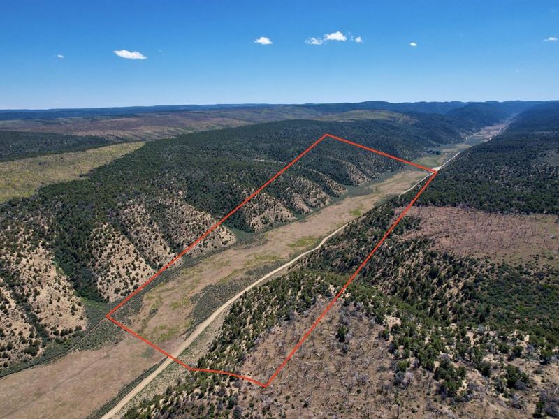 Rifle, Colorado Mountain 120 Acres : Rifle : Rio Blanco County : Colorado
