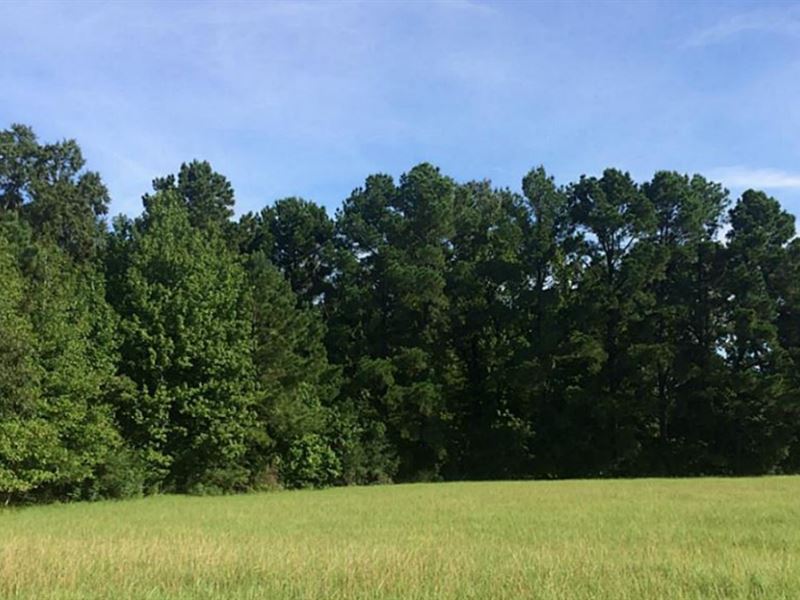 .62 Acre Lot in Trinity County, TX : Trinity : Trinity County : Texas