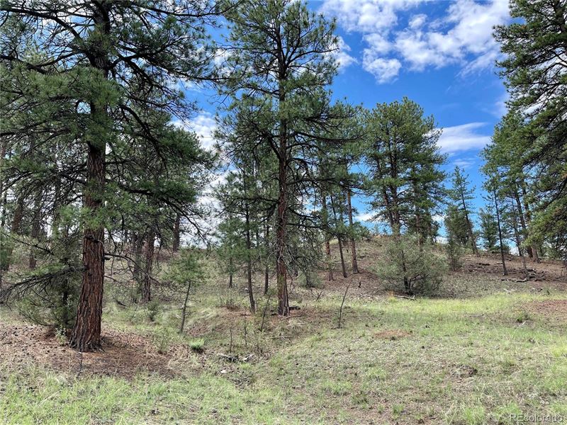 Secluded Property : Cotopaxi : Fremont County : Colorado