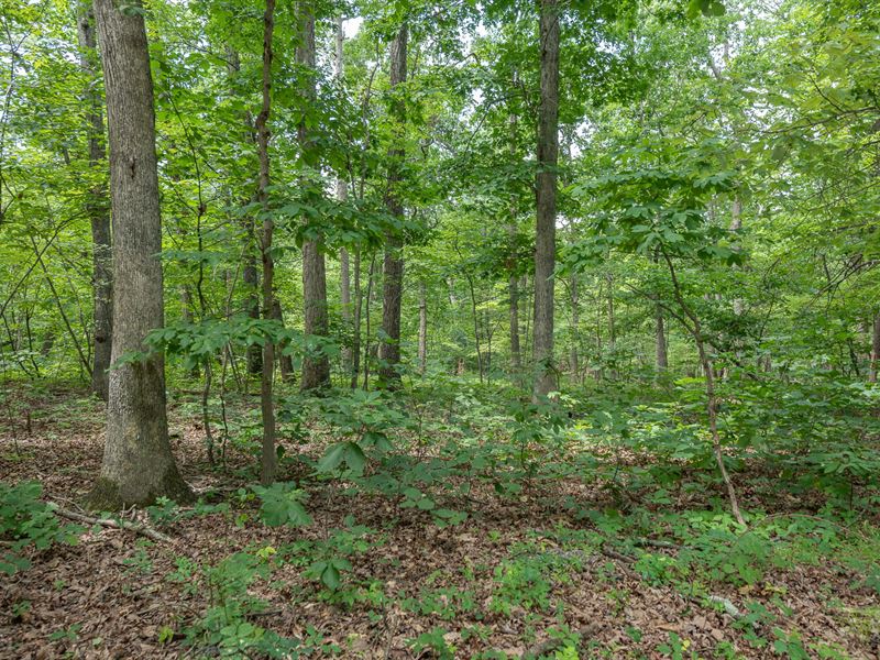 Take ME Home Country Roads : Gerrardstown : Berkeley County : West Virginia