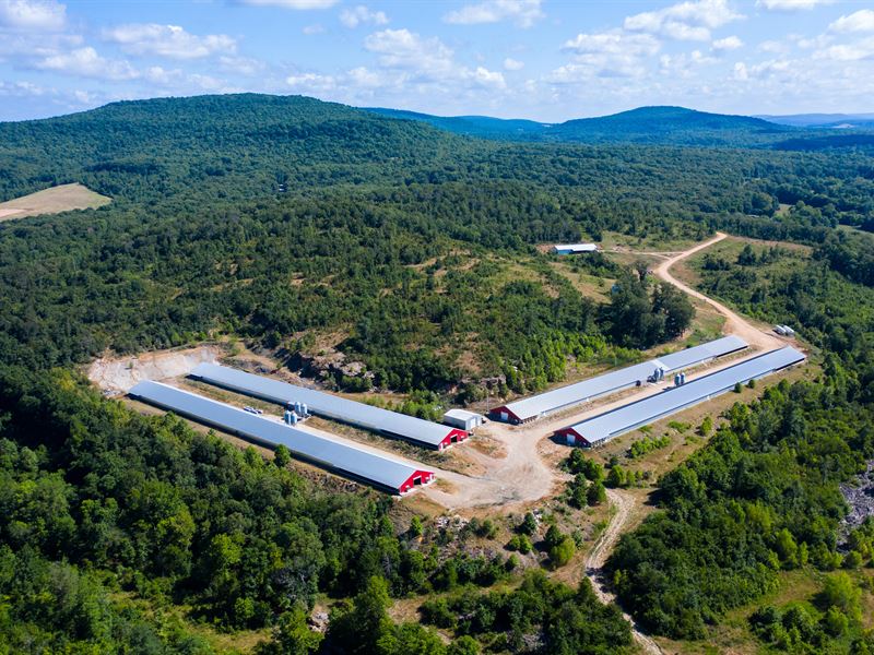 Poultry Farm and Room for Cattle : Stilwell : Adair County : Oklahoma