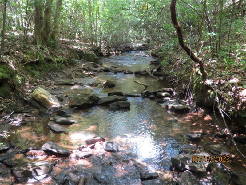 Timber Investment Near Lake Mitchel : Clanton : Chilton County : Alabama