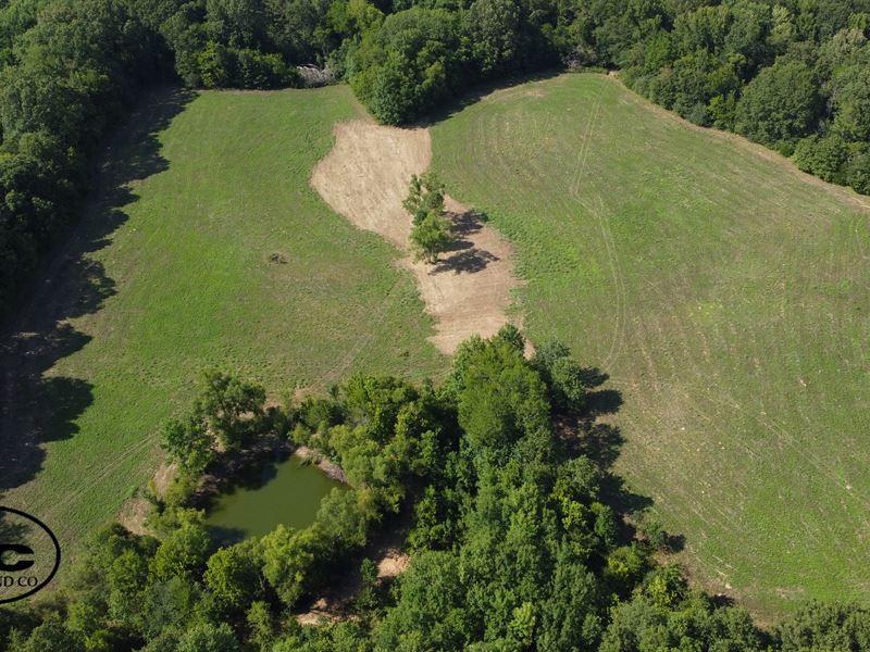 Emelle Tract, Parcel A : Emelle : Sumter County : Alabama