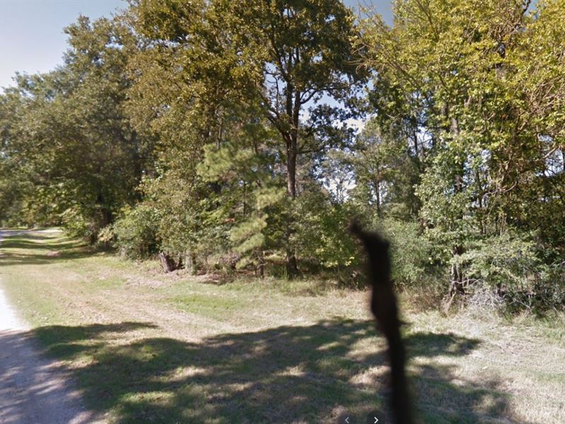 .53 Acre Lot in Trinity County, TX : Trinity : Trinity County : Texas