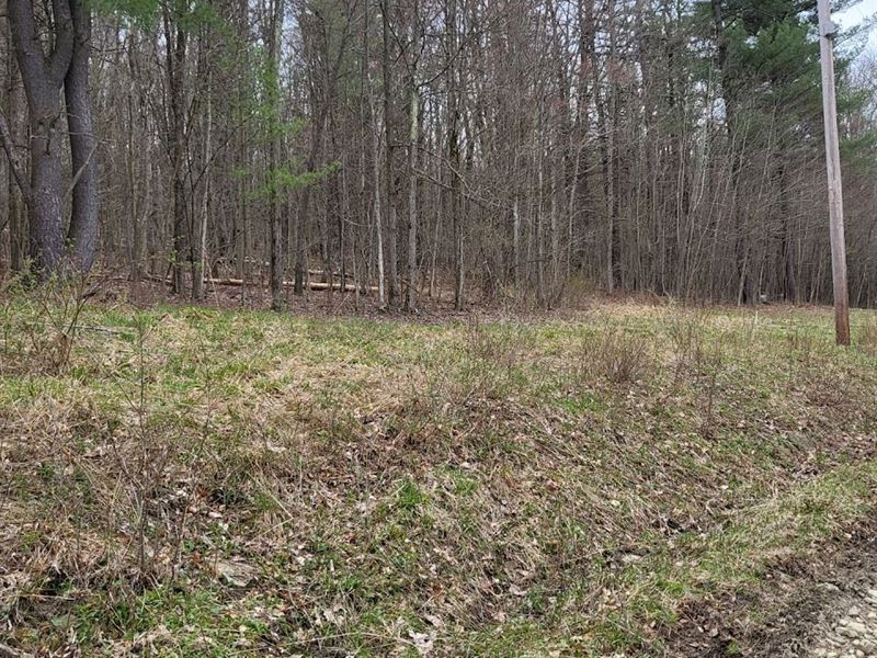 Beautifully Treed Lot : Bradford : Schuyler County : New York