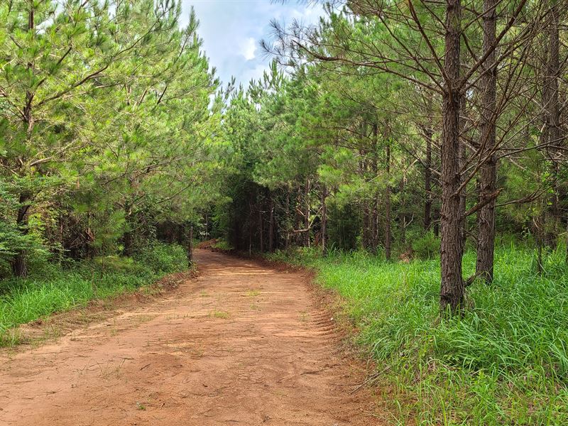 Sprott Timberlands : Sprott : Perry County : Alabama