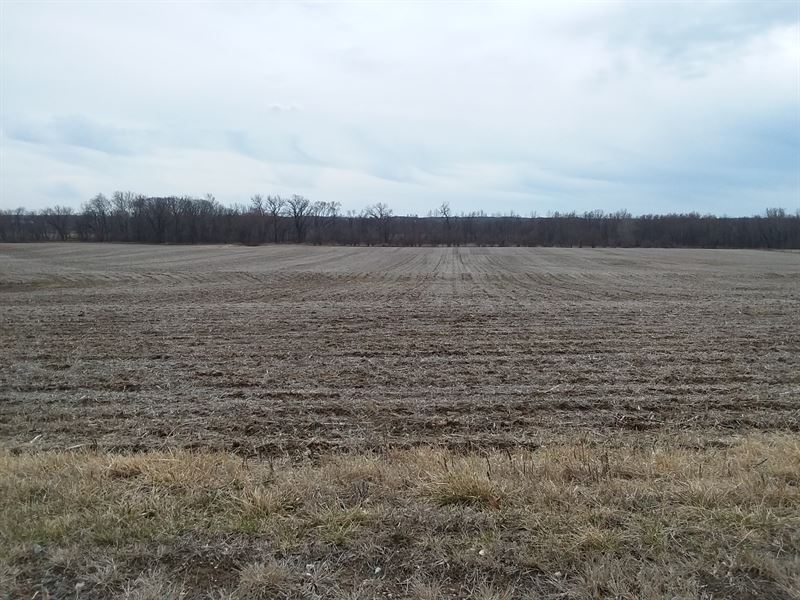 70 Ac Missouri Bottom Farm, Hunting : Maywood : Lewis County : Missouri