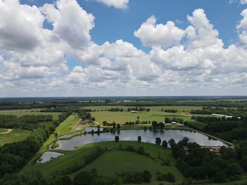 Tinnas Farm : Elba : Coffee County : Alabama
