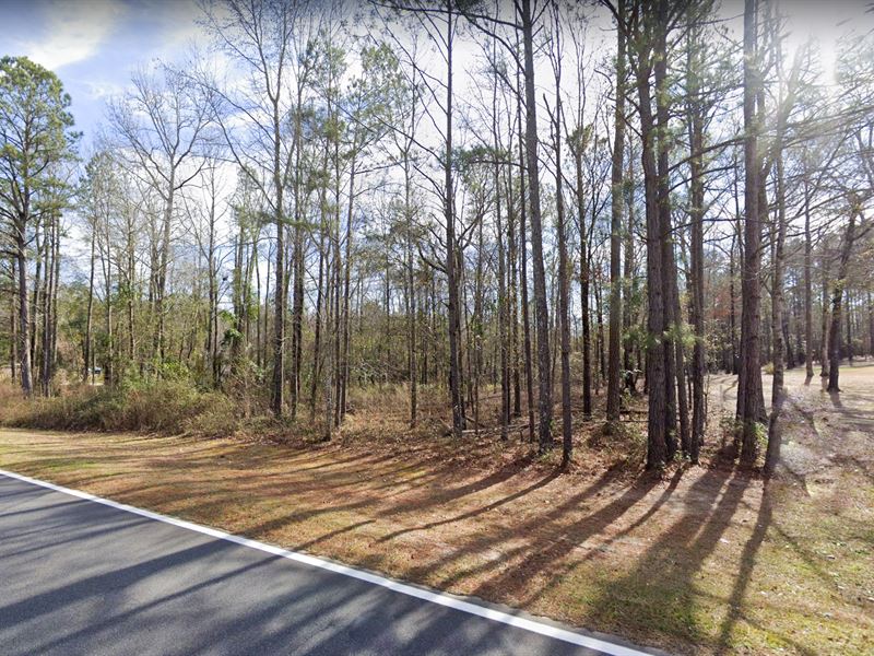 Many Options for a Home Allowed : Lizella : Crawford County : Georgia