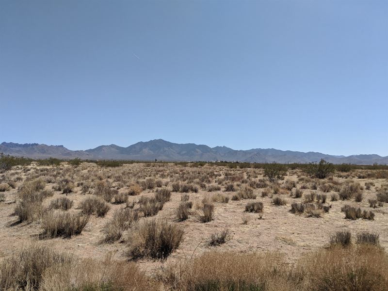 1.07 Ac with Power in Dolan Springs : Dolan Springs : Mohave County : Arizona