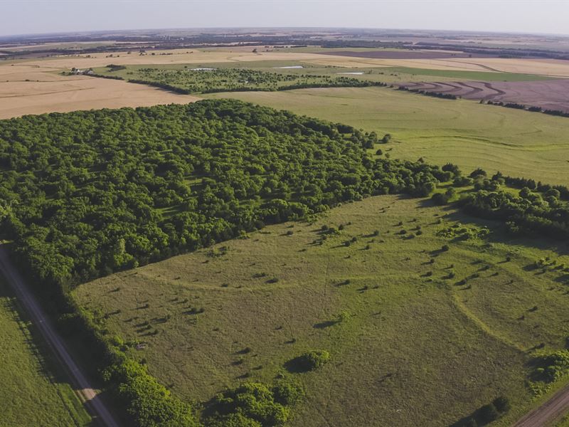 Saline County 301 : Gypsum : Saline County : Kansas