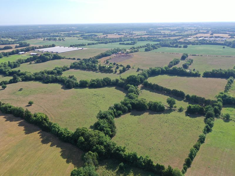 Cole Camp Missouri Home Farm 90 : Cole Camp : Benton County : Missouri