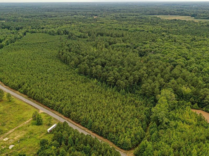 83 Acres of Timberland in Monroe Co : Aberdeen : Monroe County : Mississippi