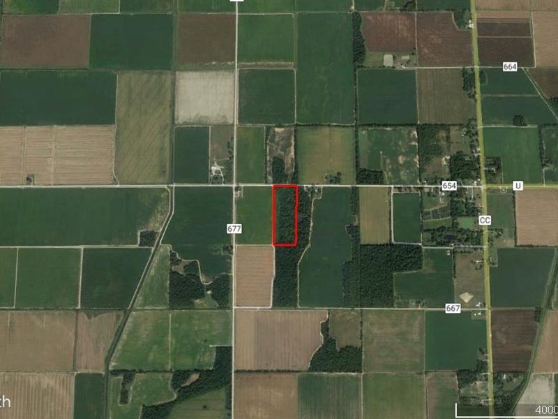 15 Acres in Brosely, MO : Broseley : Butler County : Missouri