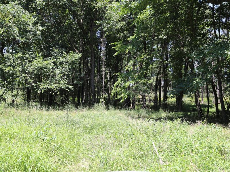Secluded Building Lot Outside of Po : Harviell : Butler County : Missouri
