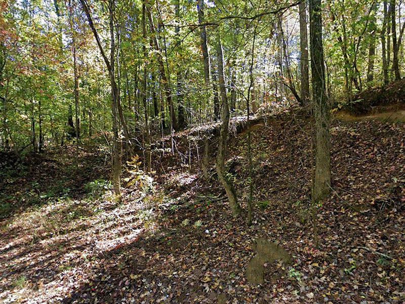 .52 Acre in Floyd County, GA : Rome : Floyd County : Georgia