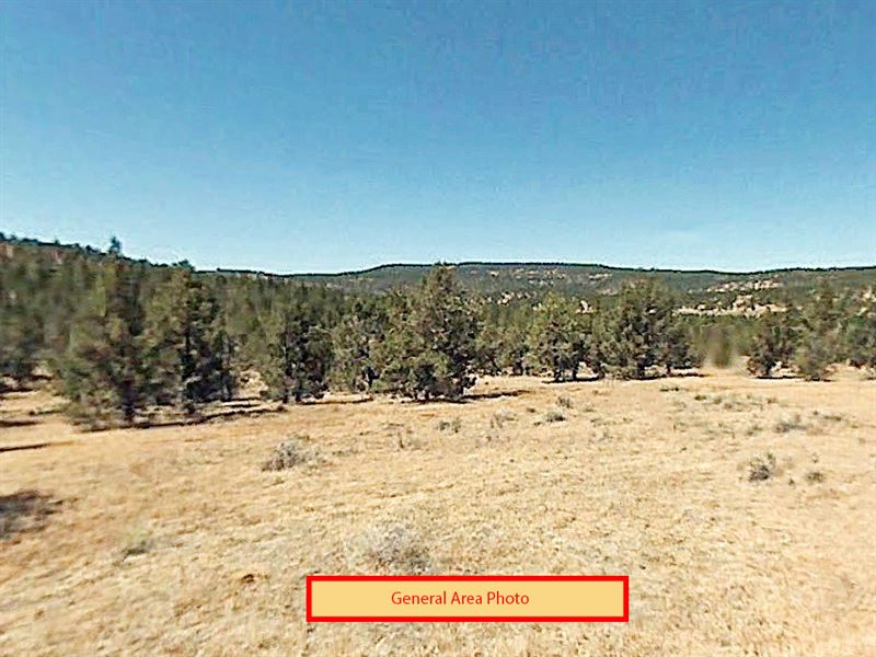 2.05 Acres in Modoc County, CA : Modoc Joint Unified : Modoc County : California