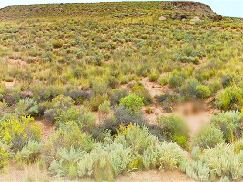 Agricultural 1.25 Acre Lot : Chambers : Apache County : Arizona