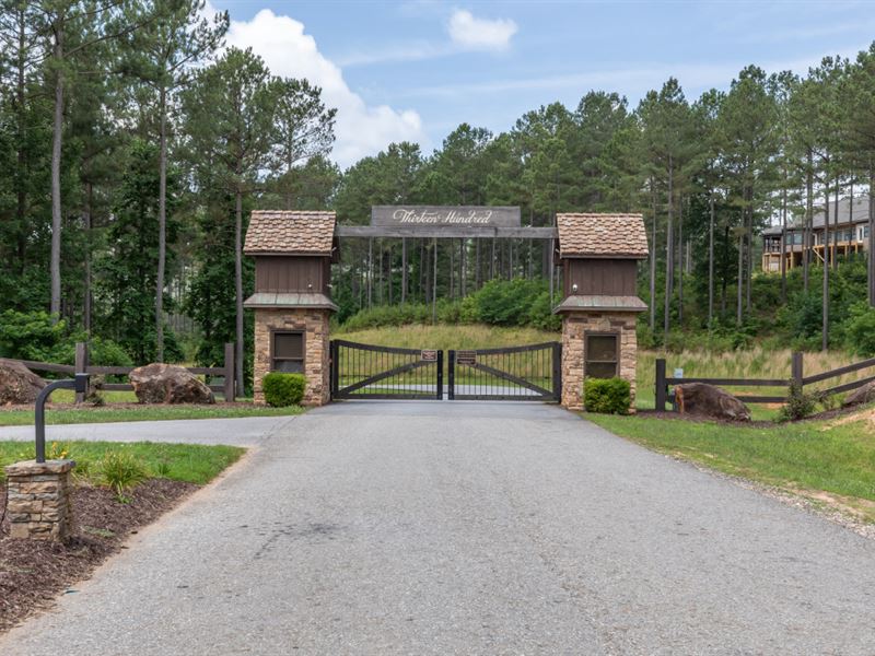 Big City Amenities in The Mountains : Blairsville : Union County : Georgia