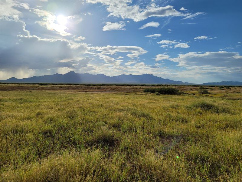 Time Off Loading, 1 Ac Only $99/Mo : Deming : Luna County : New Mexico