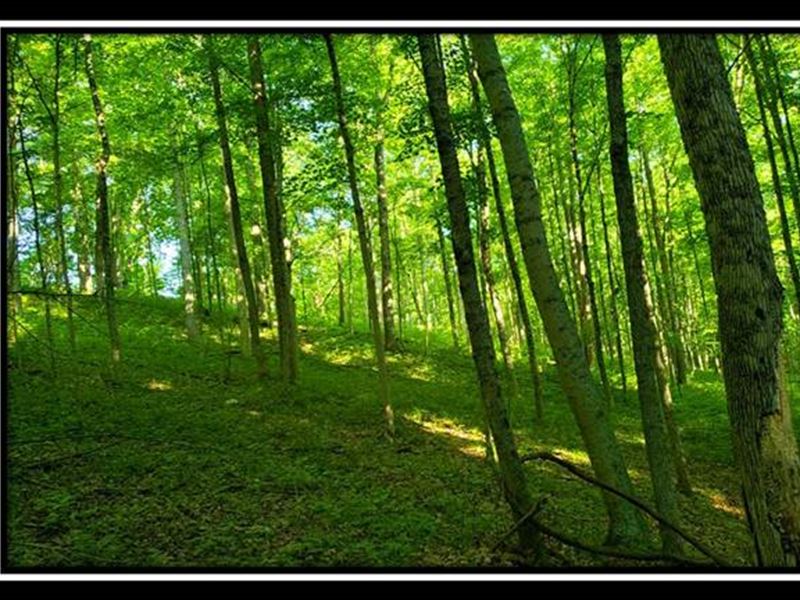 Tract 4, The Woods at Winner Lane : Stewart : Athens County : Ohio