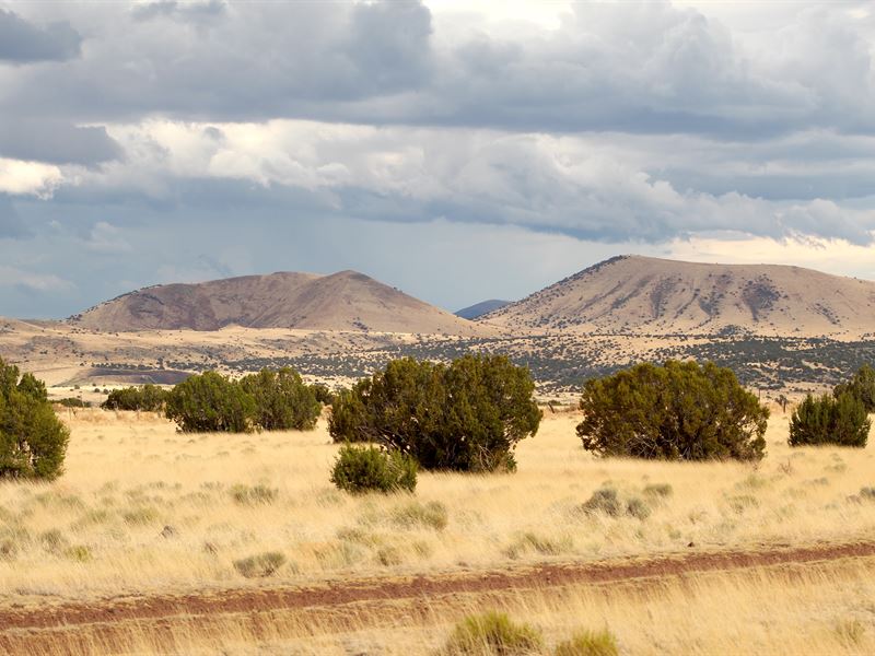Off-Grid Adventurer's Dream $245/Mo : Concho : Apache County : Arizona