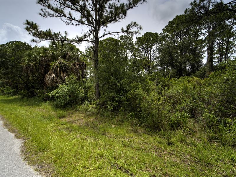 Private, Treed, Near Beaches : Port Charlotte : Charlotte County : Florida