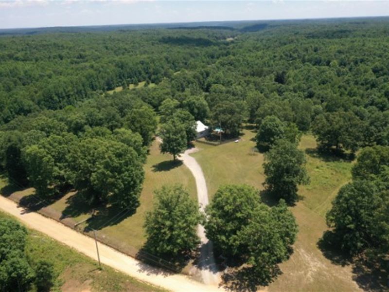 Gorgeous Mini Farm for Sale in TN : Iron City : Wayne County : Tennessee